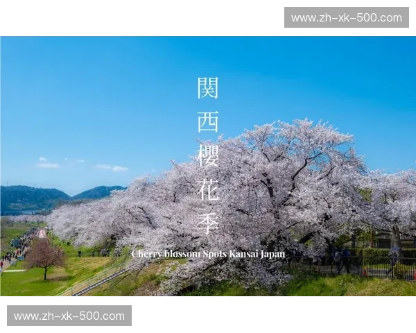 樱花落尽还是泰山压顶？大阪樱花vs山东鲁能：一场跨越时空的宿命对决